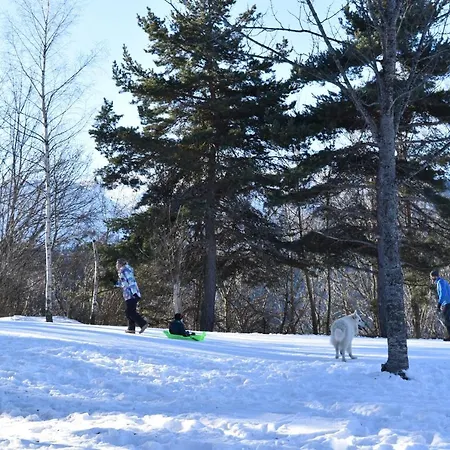 Au Printemps Japonais, Petit Train De La Mure, Parc Des Ecrins Pierre-Chatel