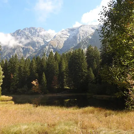 Au Printemps Japonais, Petit Train De La Mure, Parc Des Ecrins Pierre-Chatel