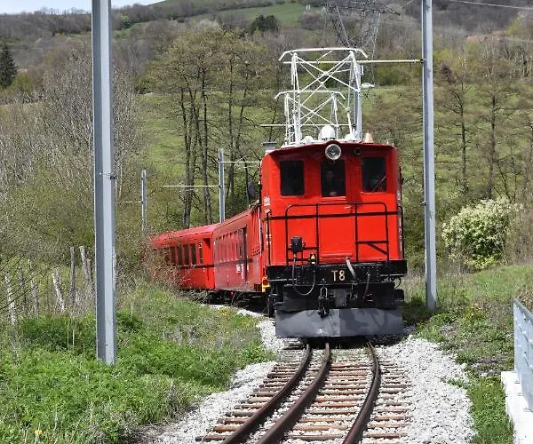Au Printemps Japonais, Petit Train De La Mure, Parc Des Ecrins