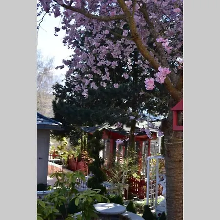 Au Printemps Japonais, Petit Train De La Mure, Parc Des Ecrins * Pierre-Chatel